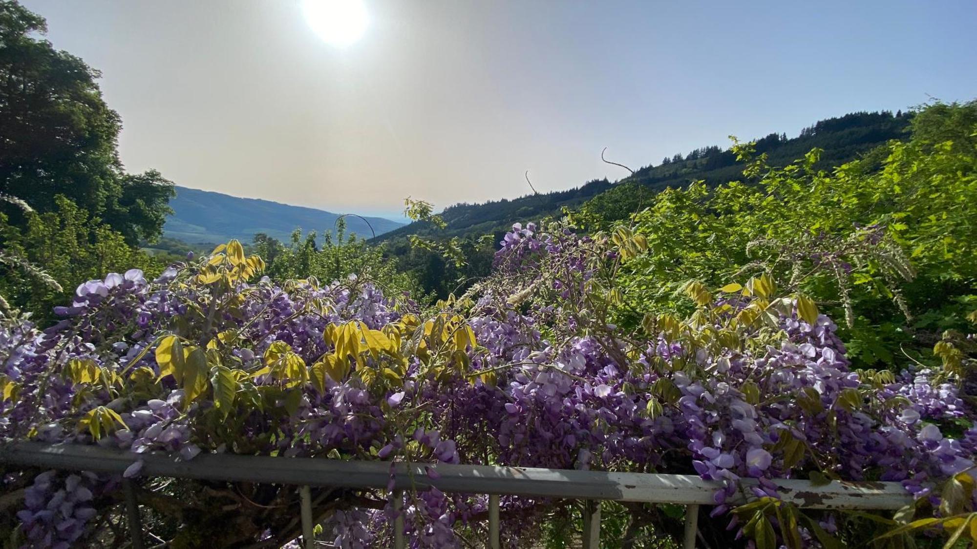 Gite Du Hameau D'Amignie Vernay Εξωτερικό φωτογραφία